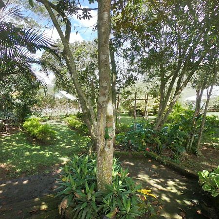 Tribu Ecohostal Los Santos  Bagian luar foto