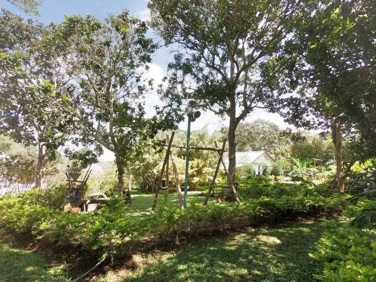 Tribu Ecohostal Los Santos  Bagian luar foto