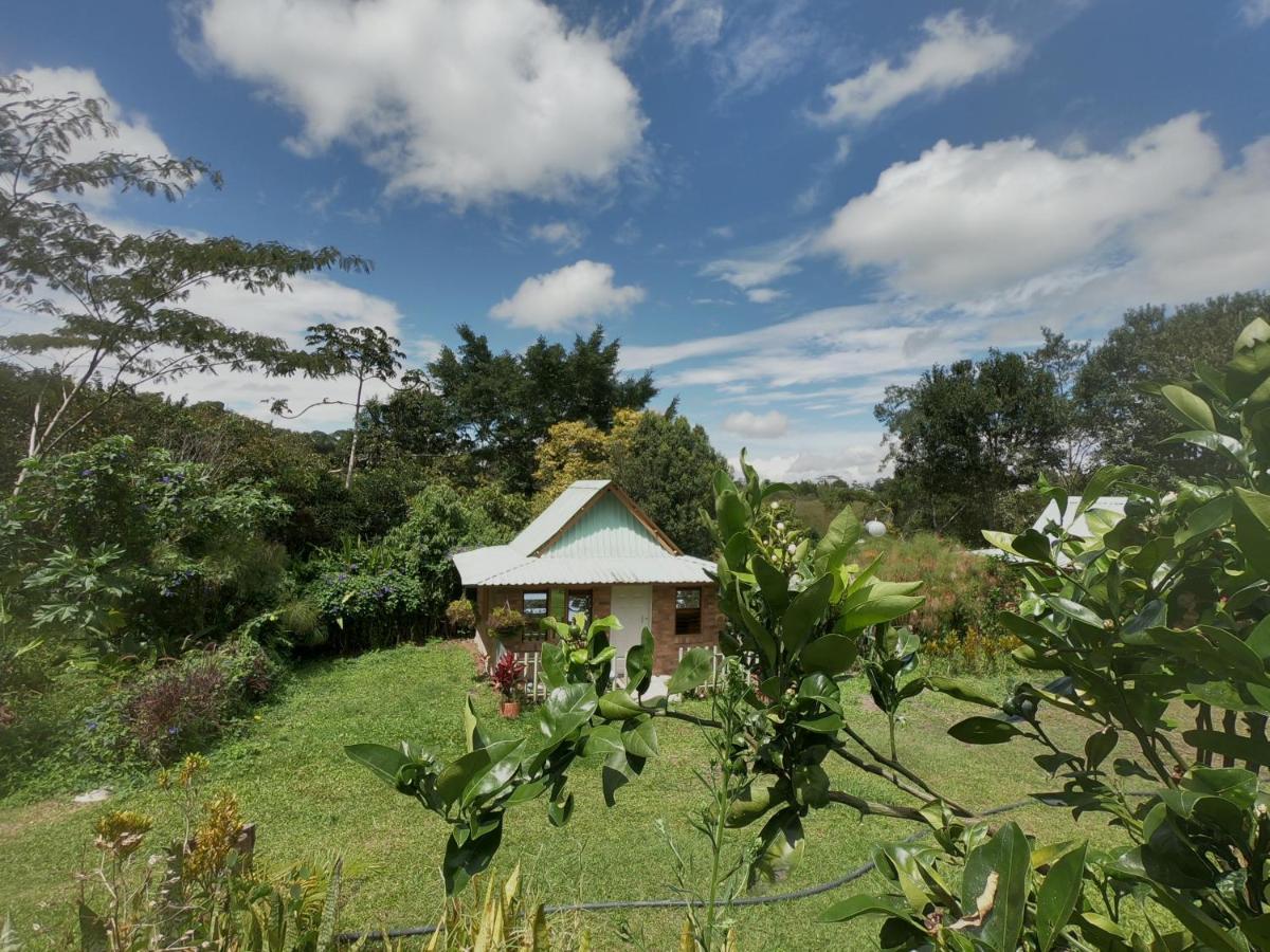 Tribu Ecohostal Los Santos  Bagian luar foto