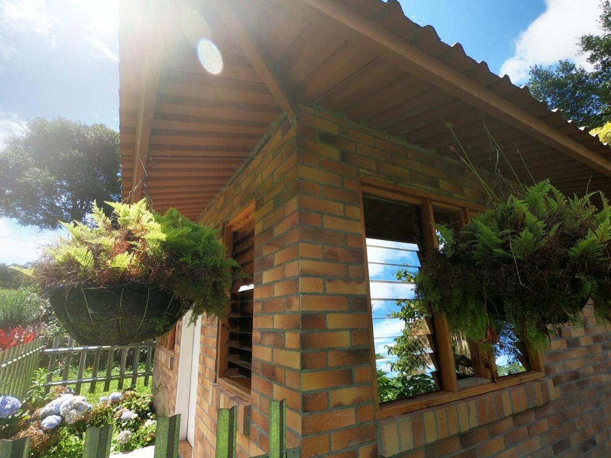 Tribu Ecohostal Los Santos  Bagian luar foto
