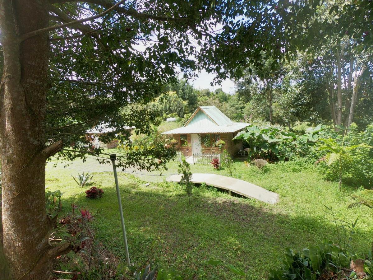 Tribu Ecohostal Los Santos  Bagian luar foto
