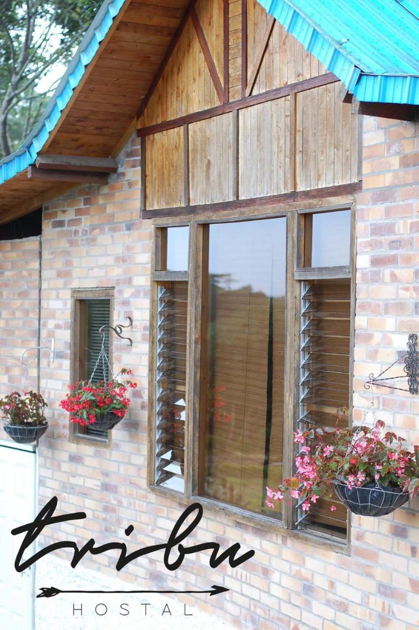 Tribu Ecohostal Los Santos  Bagian luar foto