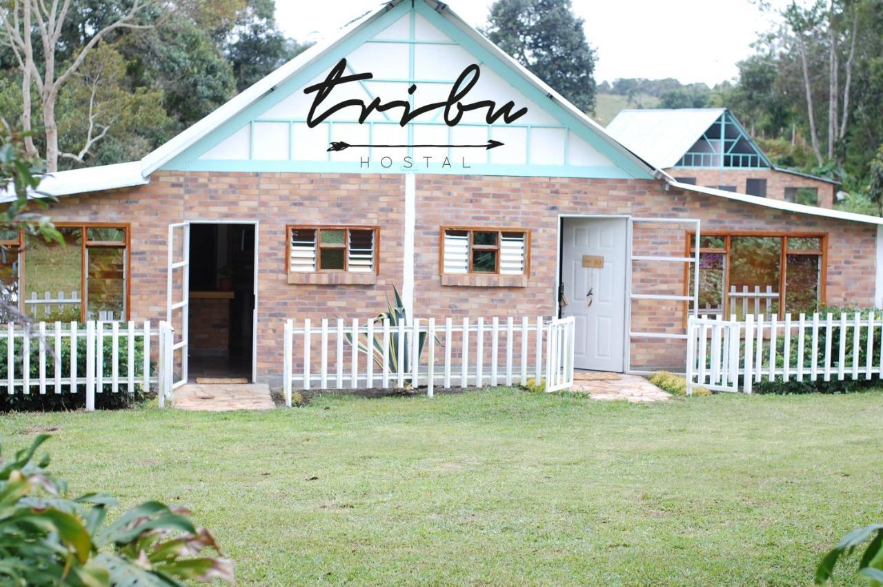 Tribu Ecohostal Los Santos  Bagian luar foto
