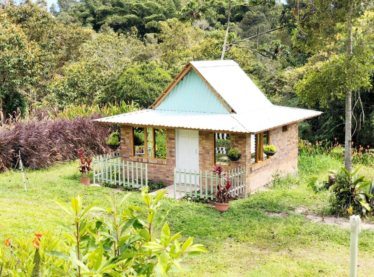 Tribu Ecohostal Los Santos  Bagian luar foto