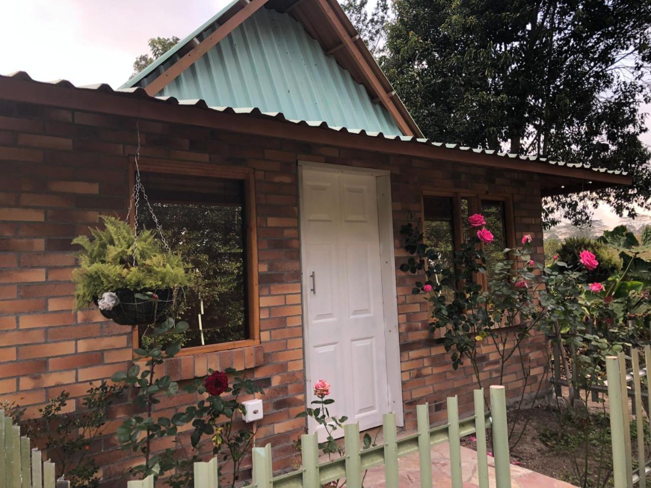 Tribu Ecohostal Los Santos  Bagian luar foto